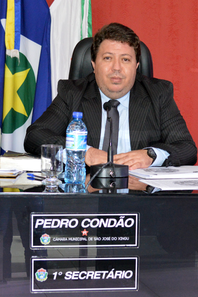 Vereadores 2
